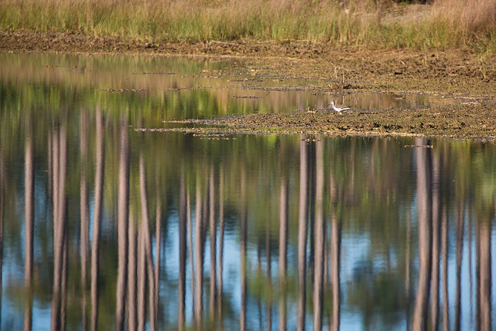 Impressionen Atelier Natur